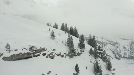 Aerial-of-pine-trees-at-the-edge-of-mountain-overlooking-snow-white-valley