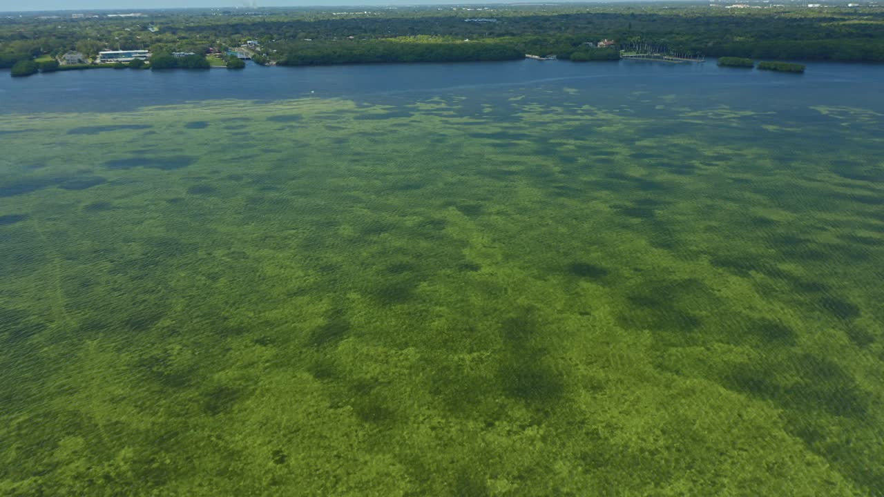 Acque marine poco profonde e cristalline rivelano vaste praterie sottomarine vicino alla costa. Vegetazione e aree residenziali sono visibili lungo la terra che costeggia l'acqua.