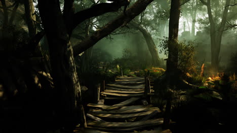 misty forest path