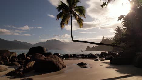 paradise beach in rio de janeiro brazil