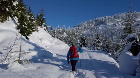 Hombre-Con-Raquetas-De-Nieve-En-El-Monte-Porter,-Isla-De-Vancouver,-Canadá