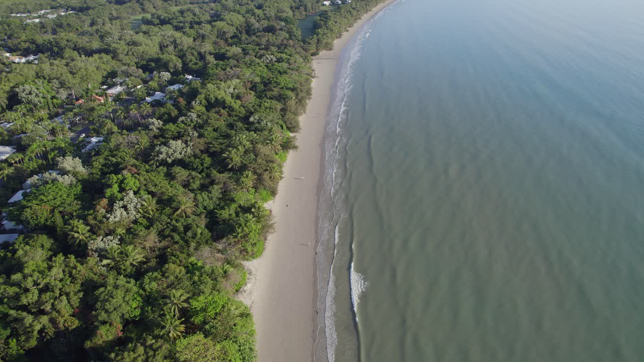 vista aérea de árboles densos en la costa tropical de la playa de cuatro millas en port douglas, extremo norte qld australia
