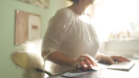 una autora profesional escribe su historia y le da vida a un cuento