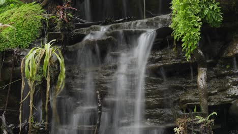 timelapse of trickling water and sprouting greens