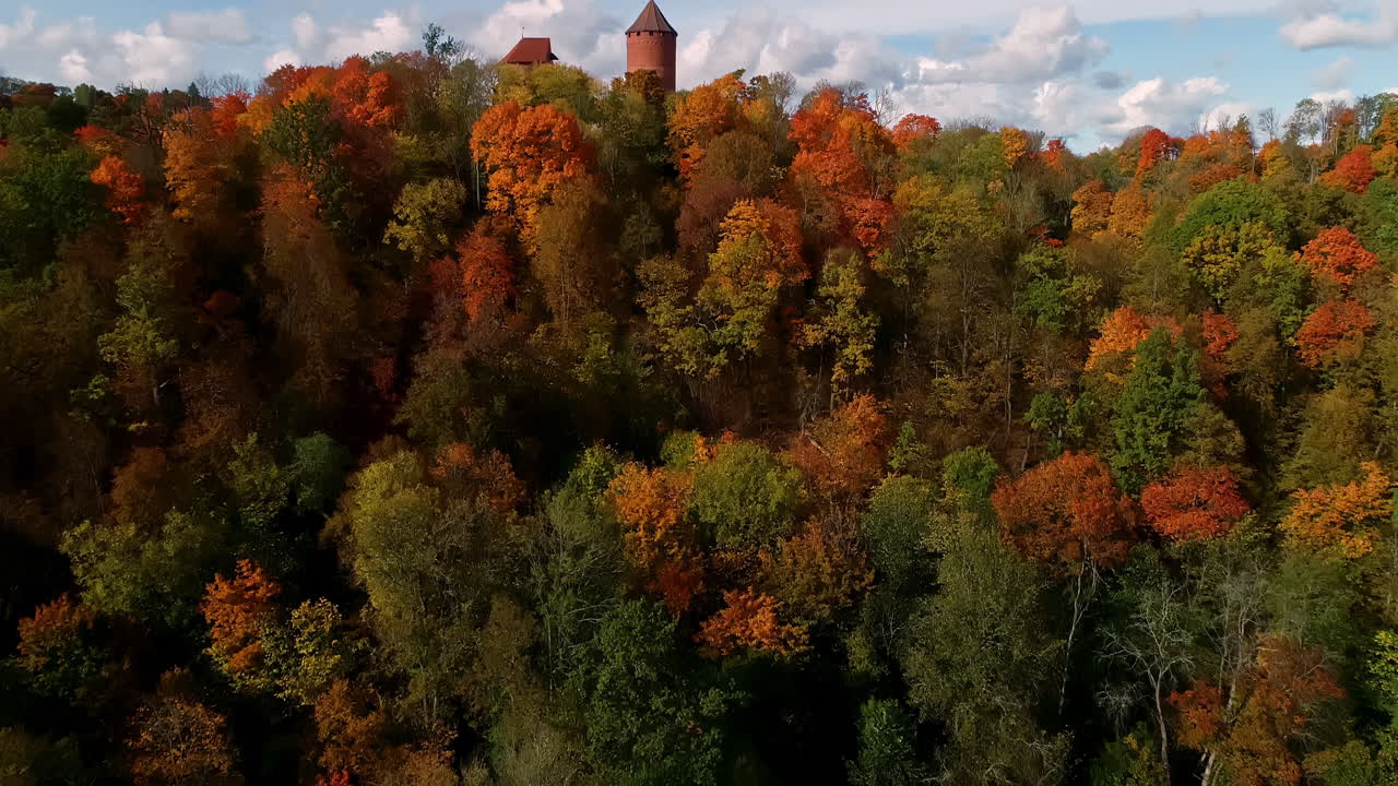 toma aérea ascendente de árboles coloridos y castillo de turaida en la cima de una colina durante el soleado día de otoño en letonia, europa