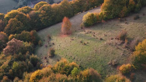 Otoño-Colorido-Sobre-El-Pueblo-De-Rucar-En-Rumania