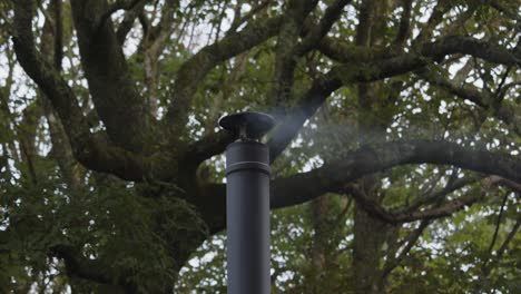 Plano-Medio-De-Una-Chimenea-De-Metal-Con-Humo-Ligero,-Un-Gran-árbol-Detrás