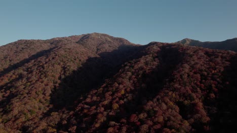 fly over the mountains of shikoku in autumn, with the red foliage in japan