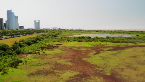 una perspectiva aérea de la reserva ecológica de buenos aires, con los edificios de la ciudad emergiendo gradualmente en el horizonte