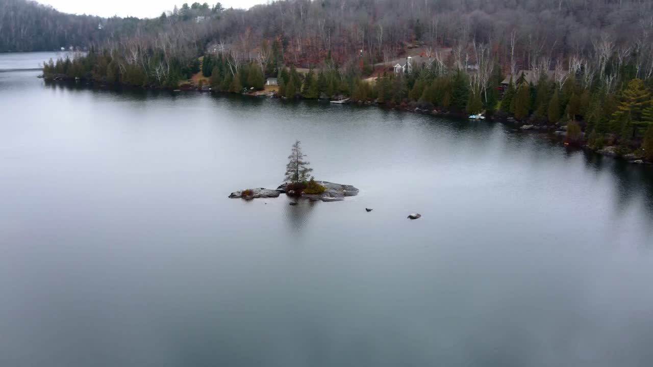 Alrededor de un árbol en una isla, durante el otoño en Laurentides, Quebec