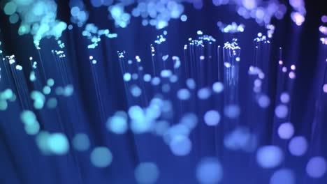 Close-up of Fiber Optics