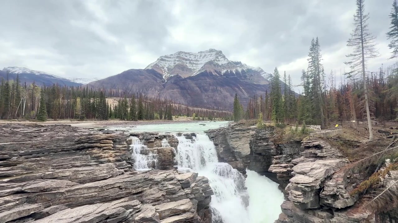 Ripresa a mano delle cascate Athabasca nel Parco Nazionale di Jasper, una cascata serena che scende su terreno roccioso con una montagna innevata e una fitta foresta sullo sfondo sotto un cielo coperto