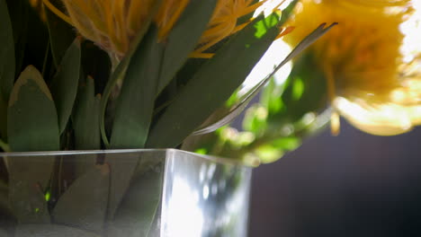 Nahaufnahme-Von-Gelben-Nadelkissen-Proteas-In-Einer-Vase-Mit-Sonnenlicht,-Nach-Oben-Kippen