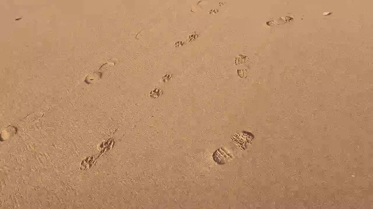 Seguindo pegadas na areia, indicando uma caminhada tranquila pela praia. A areia parece lisa e intocada, exceto pelo rastro de pegadas