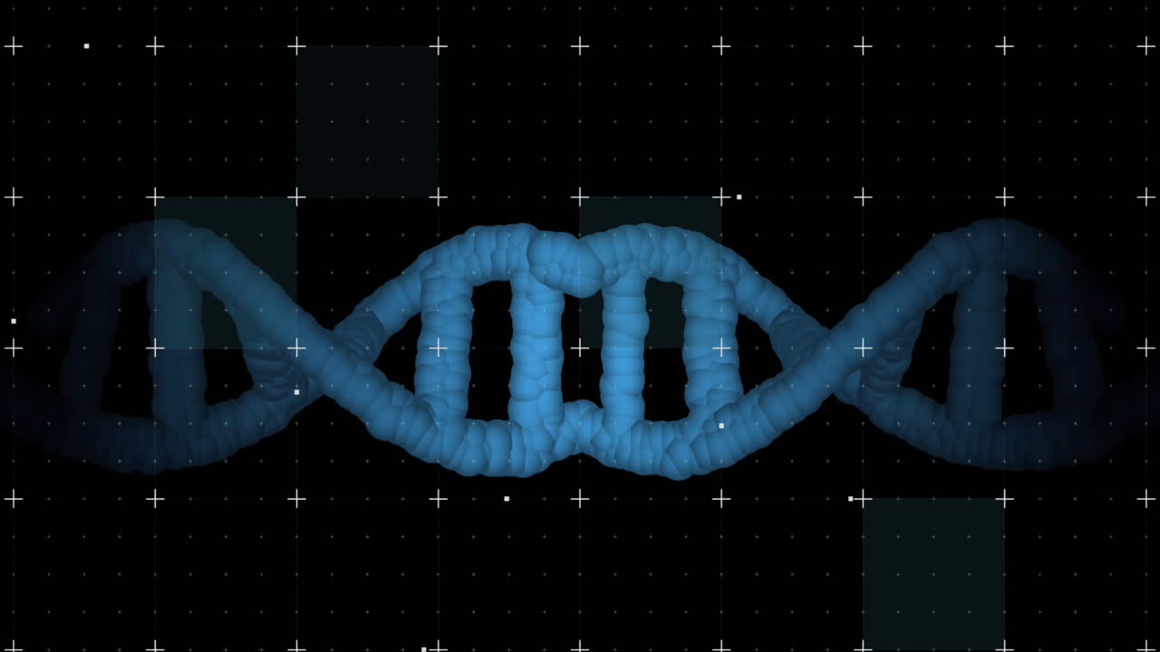 dna 가닥 위의 모양의 애니메이션