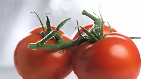 agua rociando en un montón de tomates rojos frescos girando en cámara lenta, disparo de primer plano