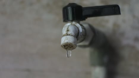 el agua sale de un cubo en un grifo, el agua fluye a pequeña escala, el agua es la fuente de los seres vivos