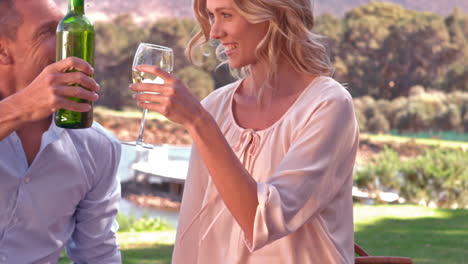 smiling couple drinking wine on picnic blanket