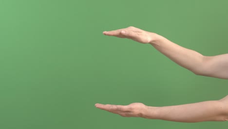 woman holding hands as showing something virtual and invisible between palms. female hands extending copy space for advertisement on green screen chroma key background