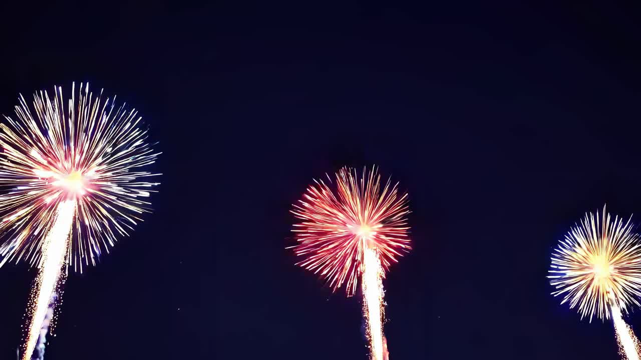Vibrant fireworks burst in the night sky, captured from a low-angle