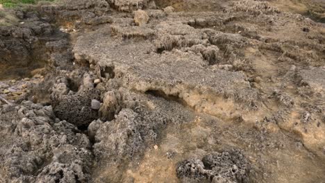 erosion and rock pools along the coastline