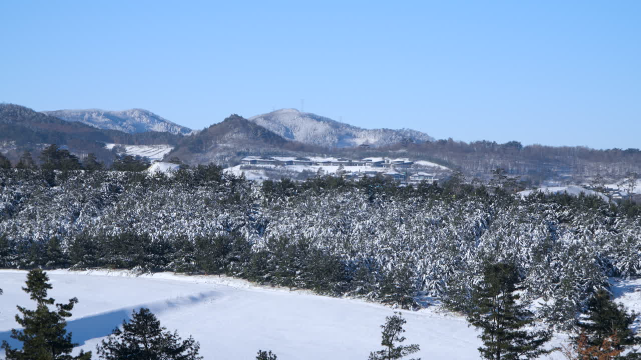 은 날에 눈 인 산과 나무 숲, 평창군, 한국 - 공중 사진