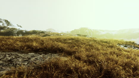 serene hill with water in the background