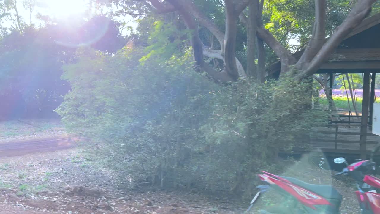 오토바이 는 자연 속 의 나무 집 을 지나간다