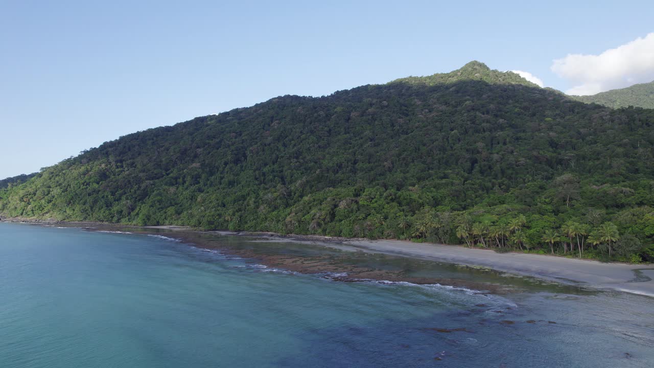 bosque arbolado en la orilla arenosa del parque nacional daintree, tribulación del cabo, qld australia