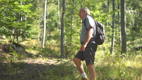 hombre caminando en un bosque