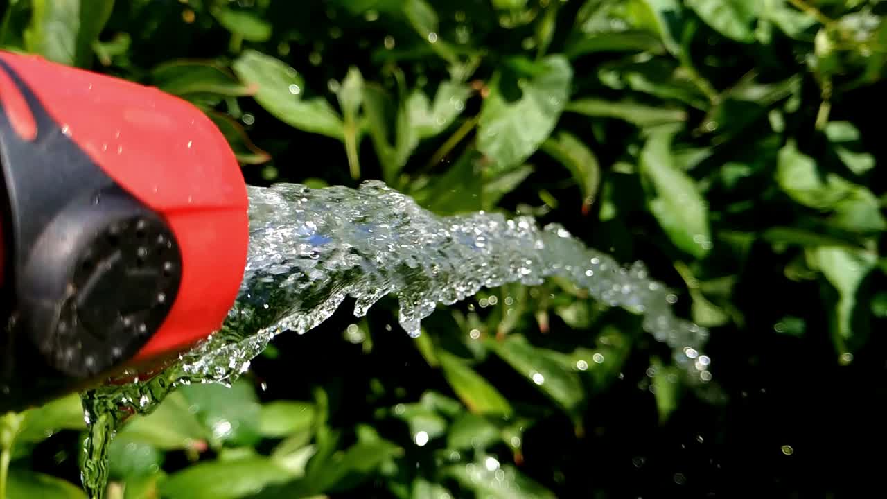 Watering garden slow motion outdoor shot