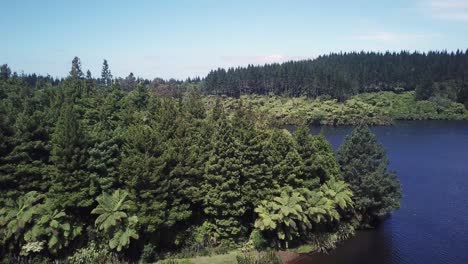 drone shot, rotating angle of bush in the middle of a lake in new plymouth, new zealand