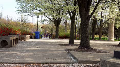 Stadtpark-Mit-Spielplatz-Und-Weiß-Blühenden-Bäumen-Im-Frühling