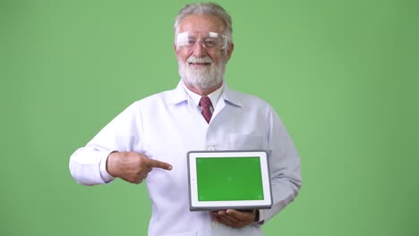 hombre barbudo y guapo en el fondo verde.