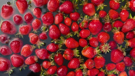 Una-Impresionante-Vista-Macro-De-Fresas-Orgánicas,-Recién-Lavadas-En-Agua-De-Pozo