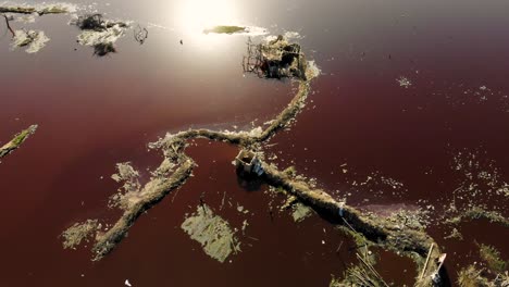 aerial overhead view of dark red stale putrid floodwaters in daharki with birds flying past