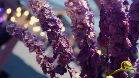 close-up of flowers. purple lilacs