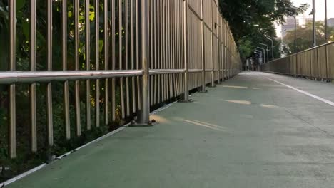 a dog in a red harness walks along a green pathway lined with metal railings and lush greenery.