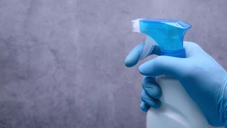 hand holding a spray bottle with blue gloves