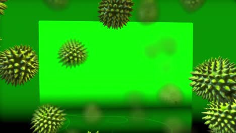 animación de las células del virus sobre un fondo verde