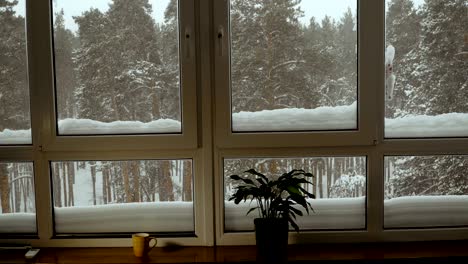 Window. Window overlooking the snow-covered forest