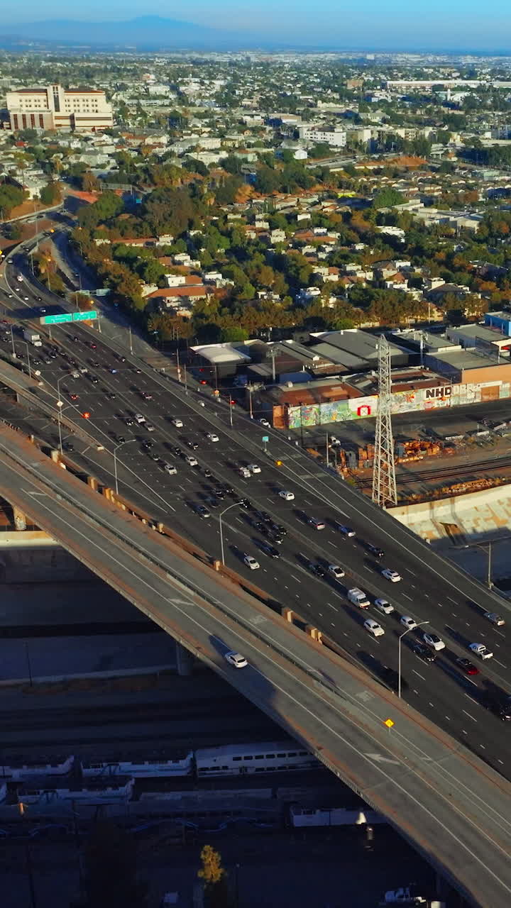 Sunny panorama of green Los Angeles. Drone rising above the busy traffic road with numerous cars. Top view. Vertical video