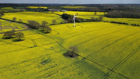 aerial view of bright yellow rapeseed crops in fields in worcestershire, england