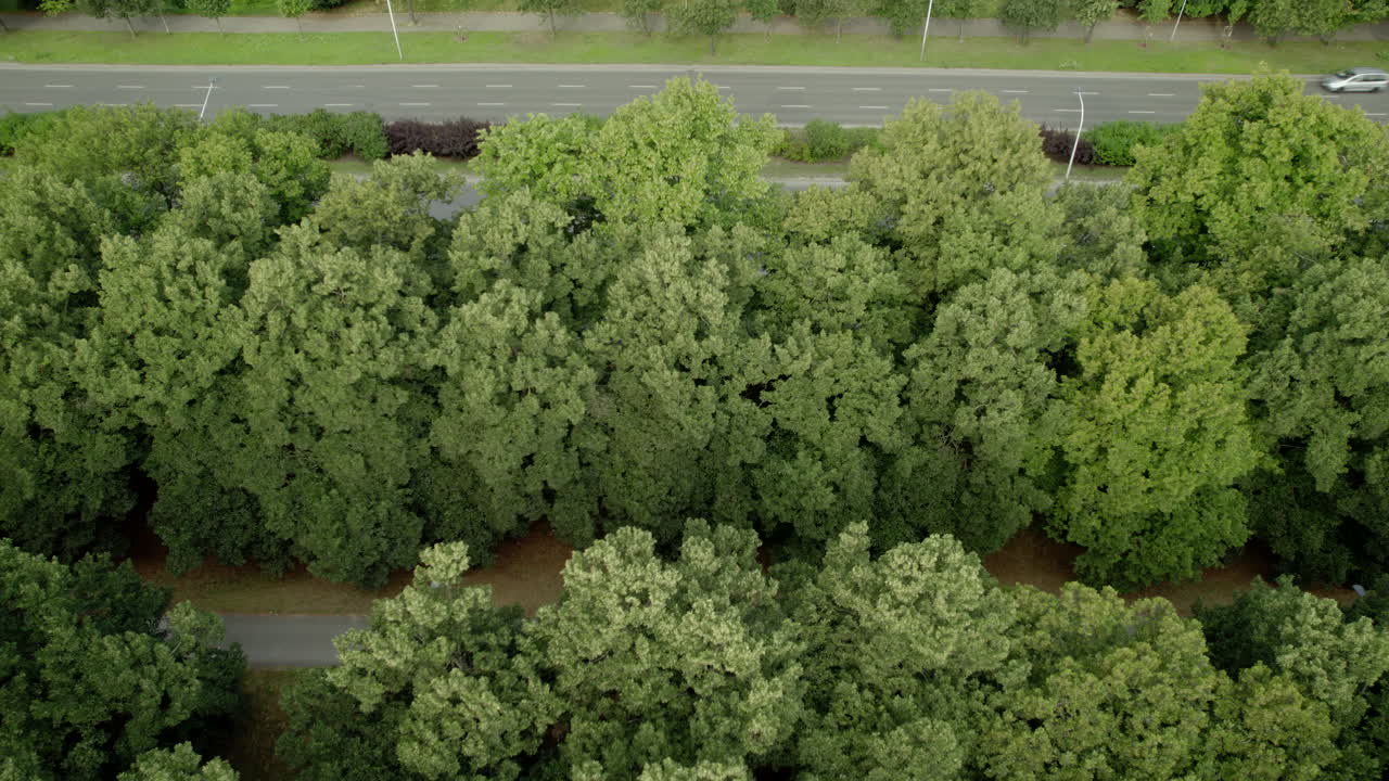 Beautiful aerial view of road nestled in lush green trees as vehicles commute