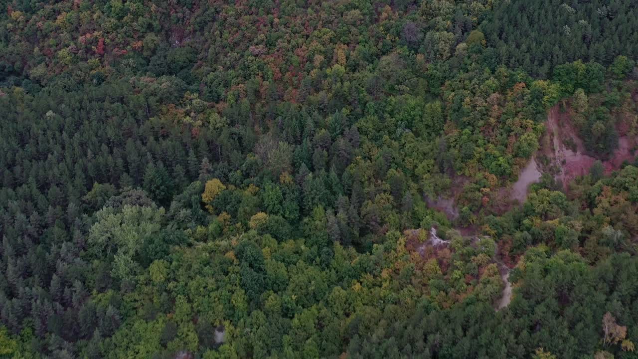 vista aérea del bosque verde en las montañas rodope en europa