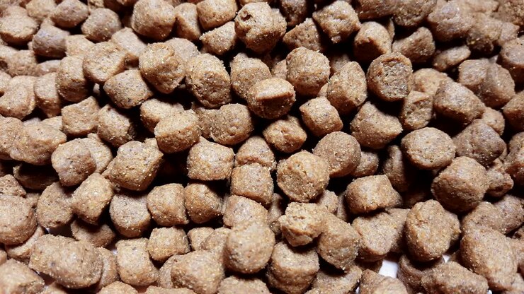 Dry dog or cat food rotate on table.