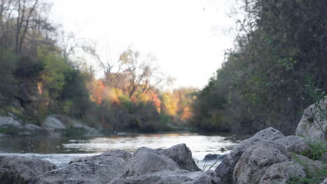 Golden-retriever-dog-bounding-through-water-river-creek-in-the-outdoors