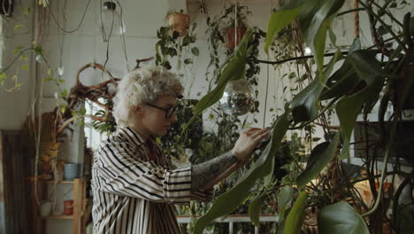 girl cleaning houseplant leaves in flower shop