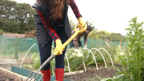 young couple gardening