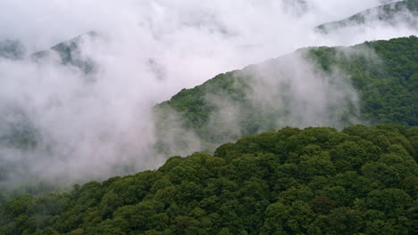 dreamlike drone footage of the fog-blanketed smokies